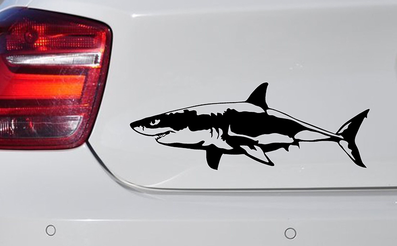 Наклейка акула на автомобиле что означает 