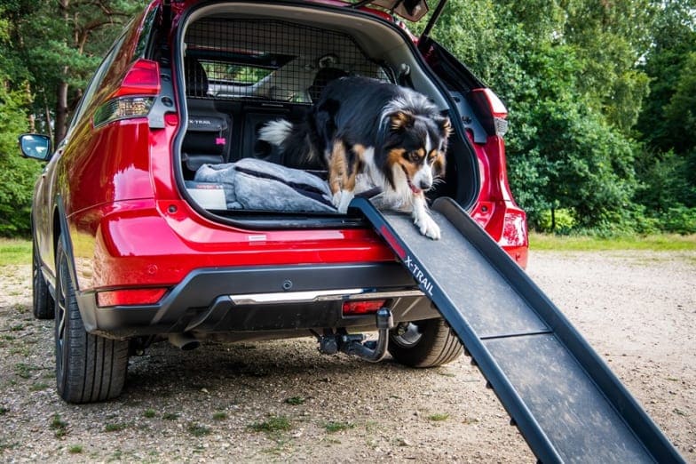 Пакет опцій для перевезення собак в Nissan X-Trail