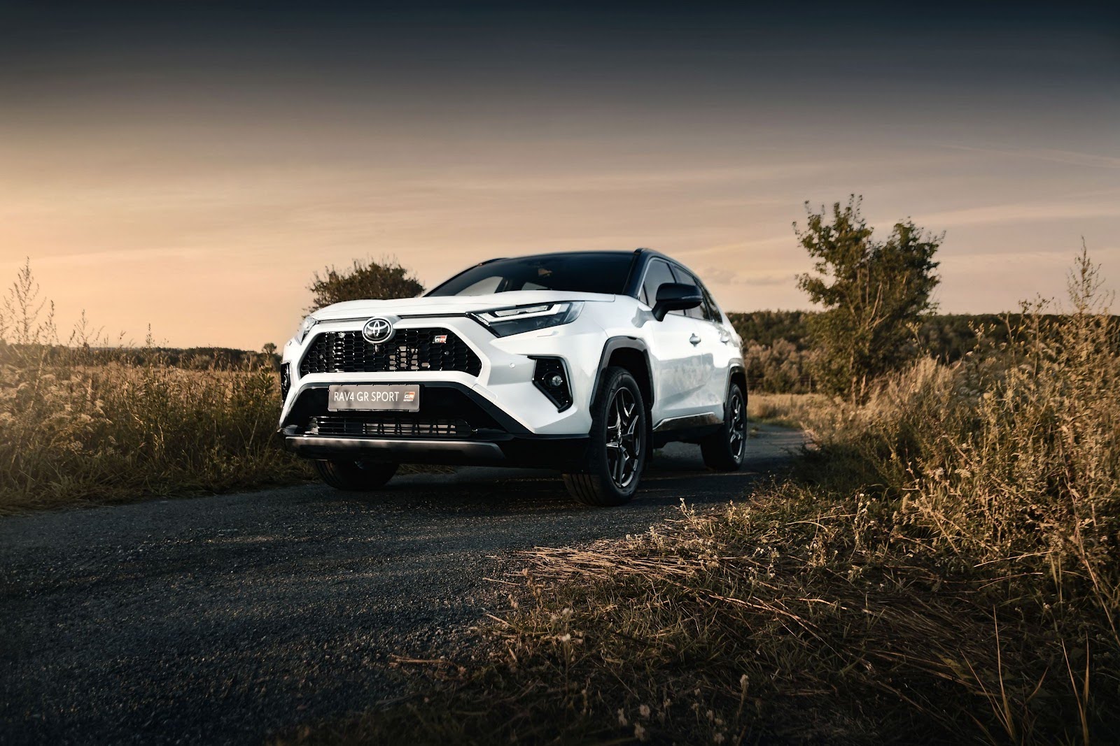 технології безпеки Toyota RAV4